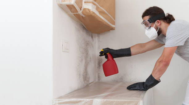 Professional Basement Mold Remediation technician working in Lebanon, PA